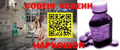 индика Гатчина