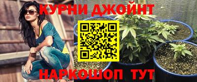 индика Гатчина