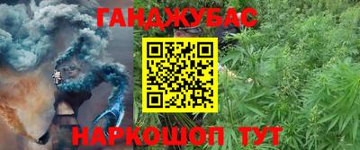 индика Гатчина