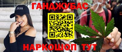 индика Гатчина