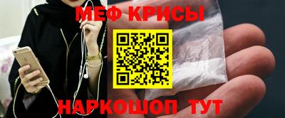 индика Гатчина
