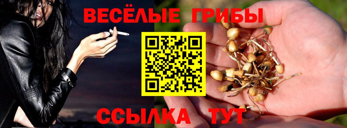Малоярославец  Псилоцибиновые грибы мухоморы  Вход с VPN 